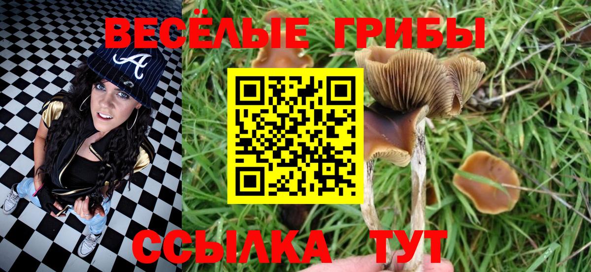 Псилоцибиновые грибы прущие грибы  хочу наркоту  Стрежевой  Вход с VPN 